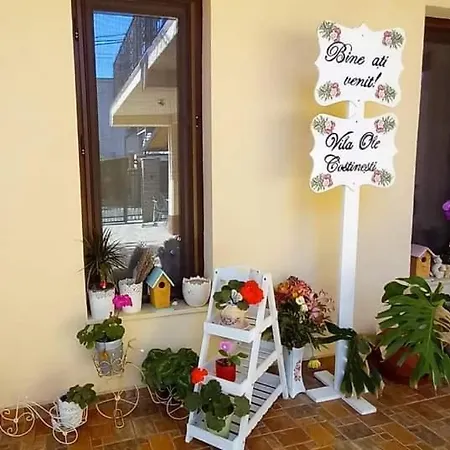 Casa Ole *