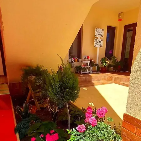 Kwatera prywatna Casa Ole *